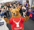 Steve the stag at careers fair