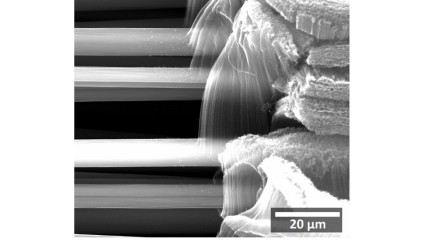 'Forest’ of vertically grown CNTs on horizontal carbon fibres