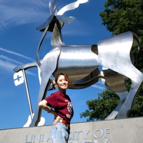 Yan Lu profile image