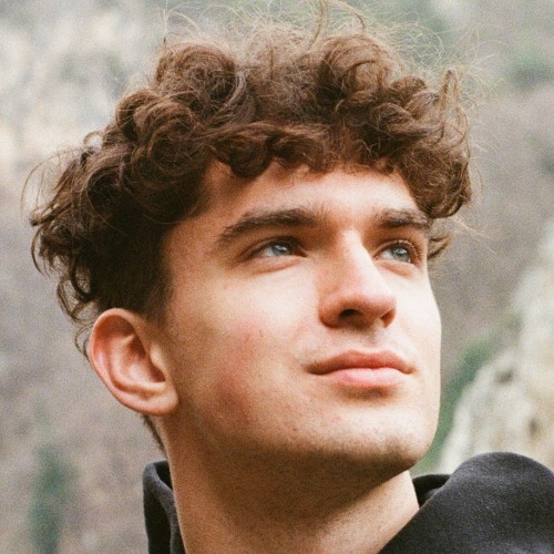 Eimantas Budrys profile image