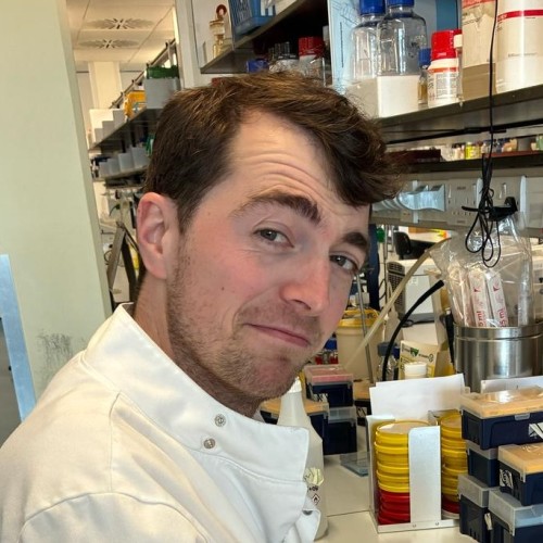 Jordan Pascoe profile image