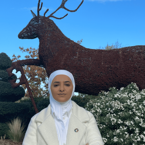 Fawziah A. profile image