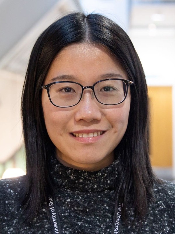 Dr Yuyan Zheng