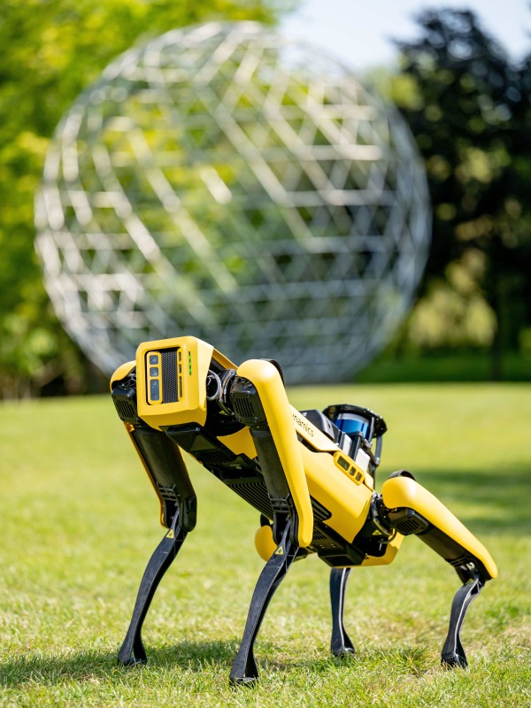 Boston dynamics dog on campus