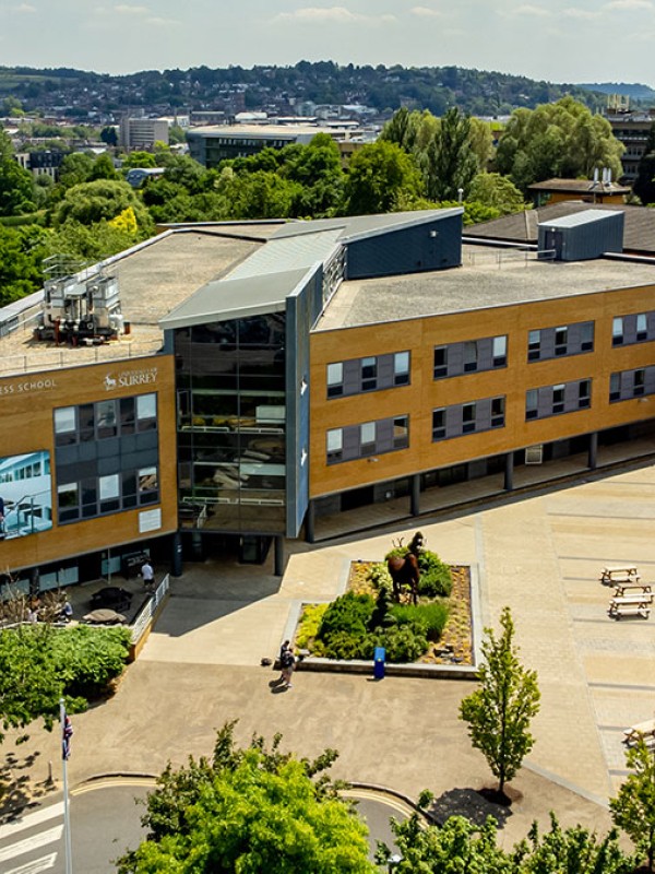 Aerial view of the Rik Medlik building