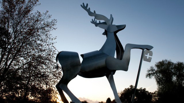 Stag image