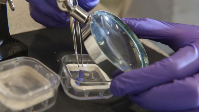 Person wearing gloves holding a small device