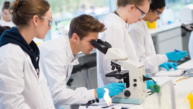 Student using microscope