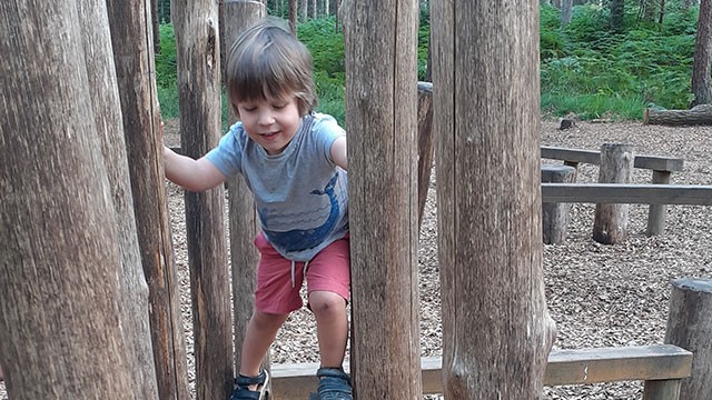 A child climbing a tree