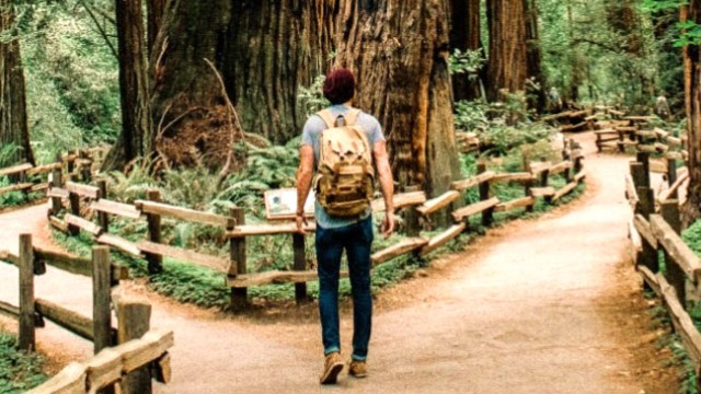A person standing at a fork in the road in a wood