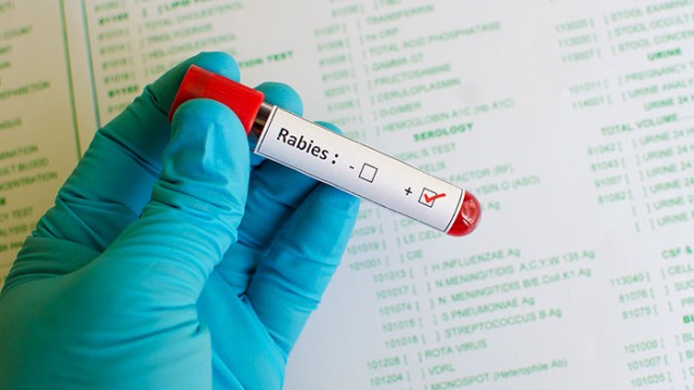 rabies-vial