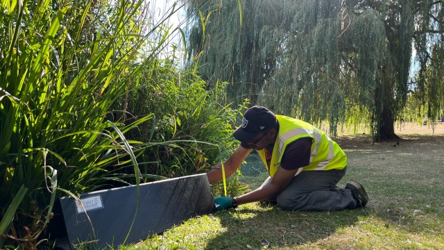Hedgehog tunnel by the lake