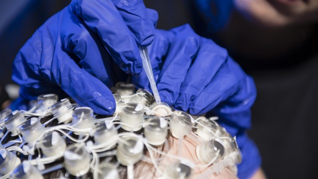 Psychology facilities