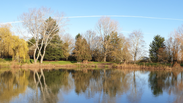 Convergence Conference Banner