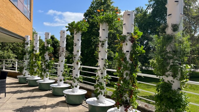 Tower garden at Lakeside Restaurant