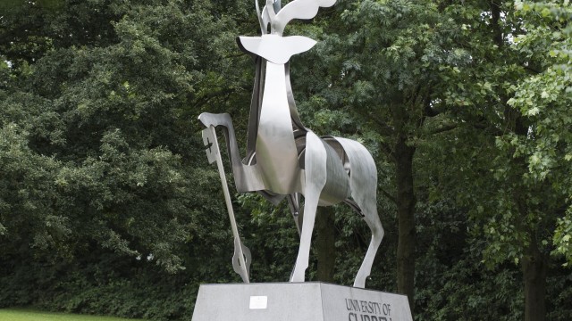 Stag statue on campus