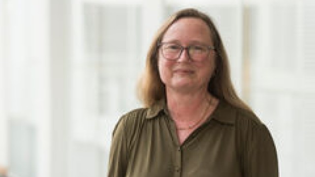 Professor Christine Hine