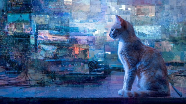 Cat with graffiti behind