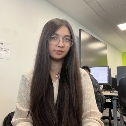 Computer science undergraduate student