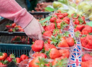 Nutrition and metabolism