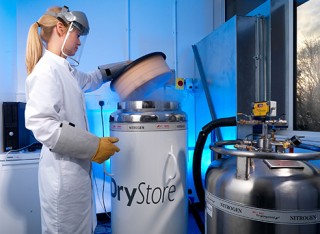 A female member of staff in the cryostorage lab