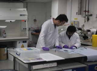 People in a laboratory