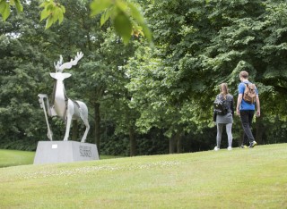 The University of Surrey campus