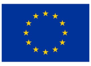 Flag of Europe logo