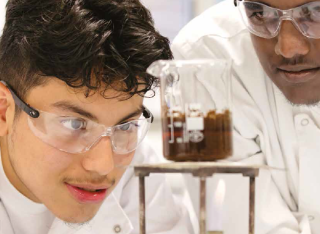 annual report 2016-2017