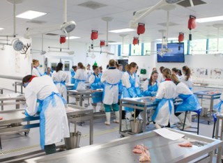 A group of vet students are conducting dissections in the pathology laboratory