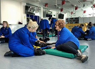 Vet School students at a Vets as Therapy session