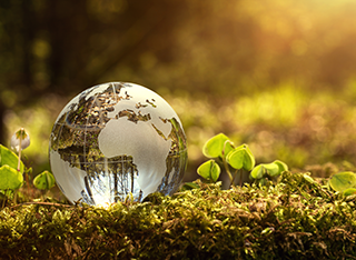 Small glass globe sat on the grass surrounded by flowers