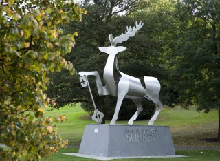 The University of Surrey launches an Emergency Student Support Appeal 