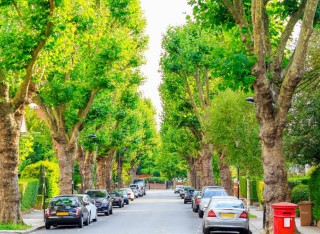 Cars parked on a street