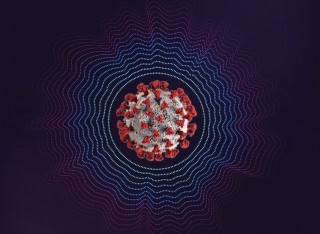 The soundwaves of a virus