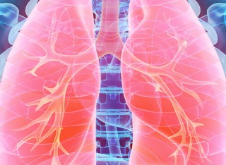 lungs scan