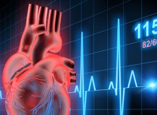 Illustration of a heart with heart beats data