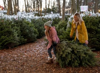 Mother and daughter choosing their Christmas tree