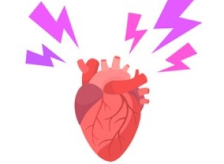Characterising the transcriptional response that mediates the protective effects of the mitochondrial unfolded protein response (UPRmt) in the stressed heart