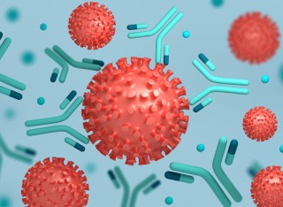 How do our antibodies change their function? | Immunology