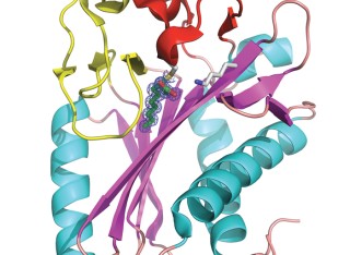 Characterizing the structure, function and drugability of tuberculosis proteins