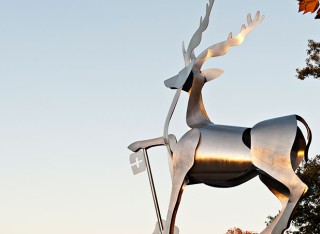 Stag statue on Stag Hill campus