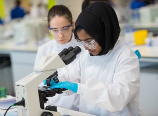 Students studying in a lab 