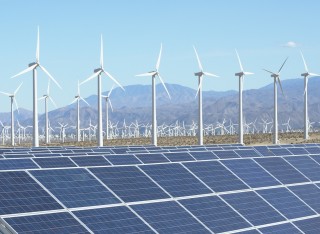 Sustainability degree image