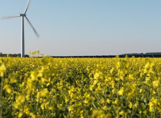 Wind turbine over a field
