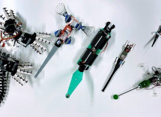 robots inspired by nature