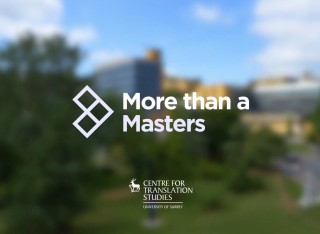 Centre for Translation Studies