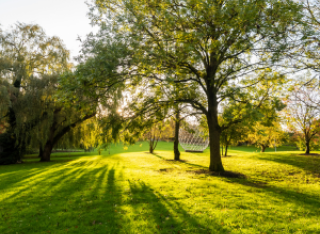 Trees surround a globe sculpture on Stag Hill