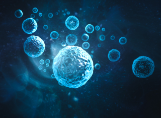 credit: Getty via Marcus Millo 