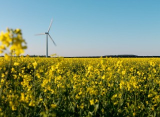 Wind turbine over grassy meadow